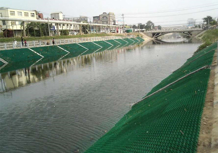 四川護(hù)坡植草格